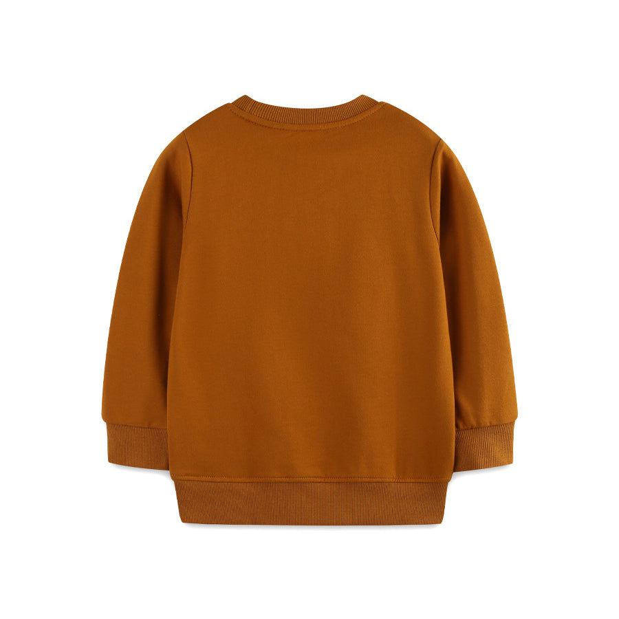 Animal Embroidered Pullover Hoodie